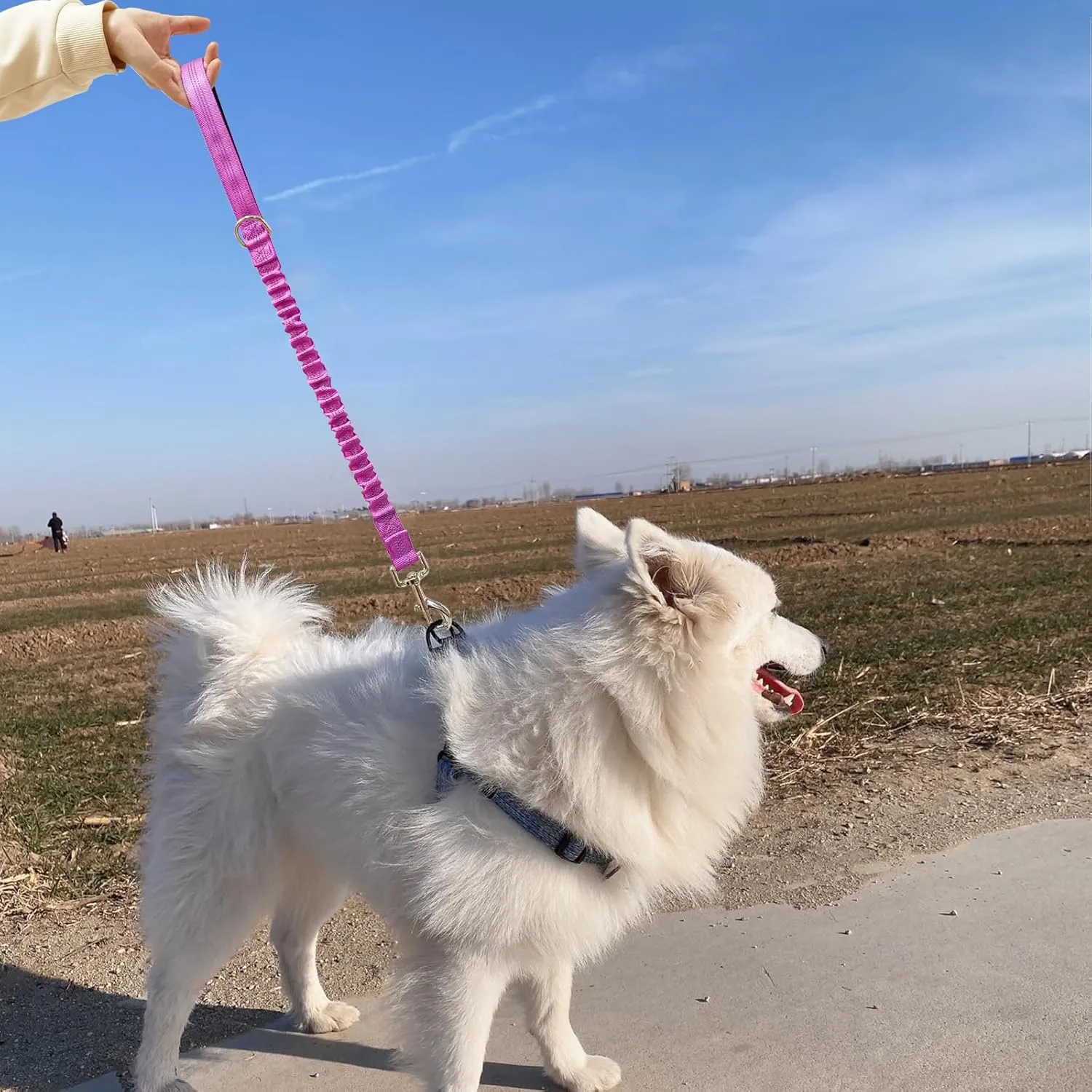2 FT Bungee Dog Leash, Highly Reflective Strong Nylon Traffic Leash, Short Shock Absorbing Lead for Large Medium Dogs Walking Training Controlling