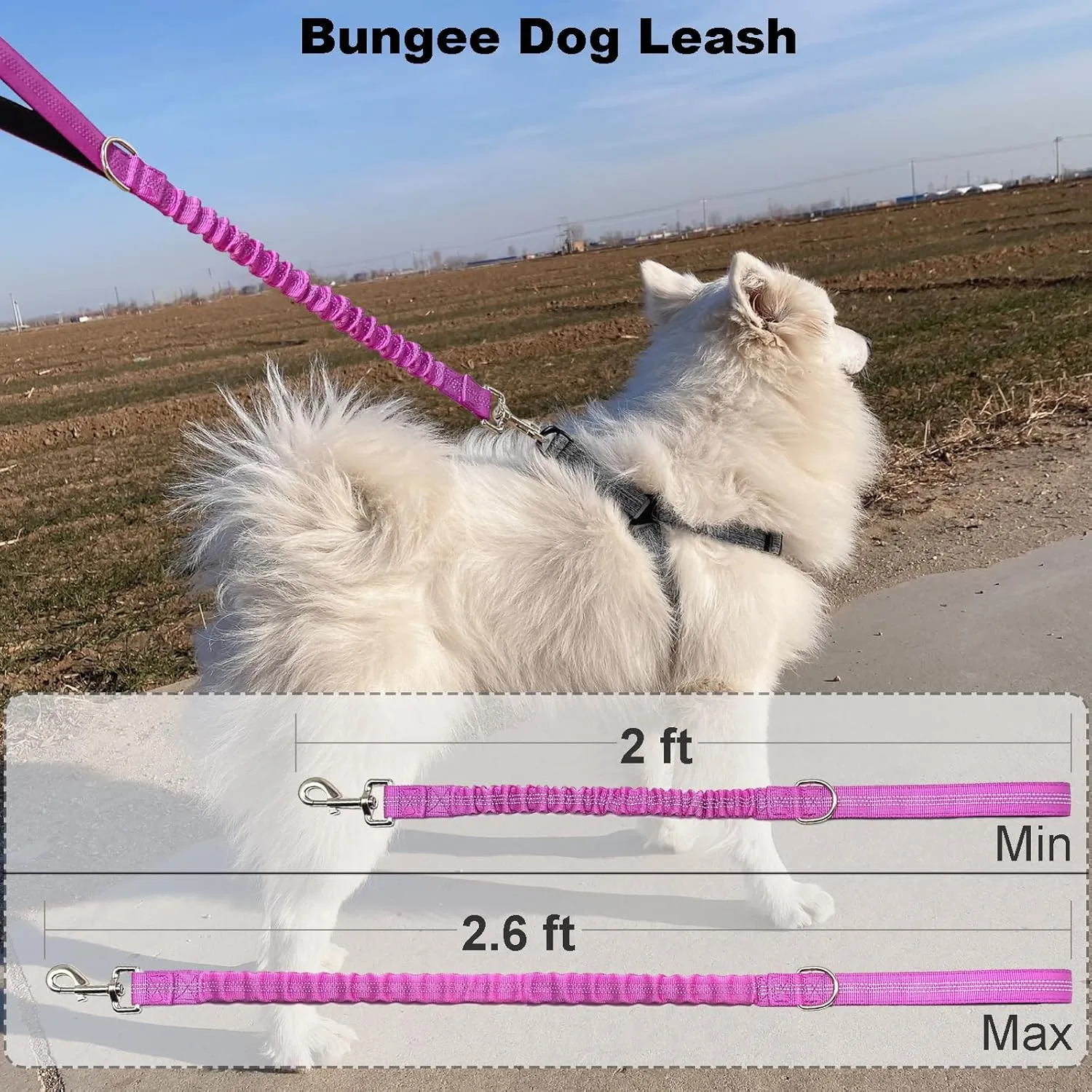 2 FT Bungee Dog Leash, Highly Reflective Strong Nylon Traffic Leash, Short Shock Absorbing Lead for Large Medium Dogs Walking Training Controlling