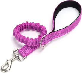 2 FT Bungee Dog Leash, Highly Reflective Strong Nylon Traffic Leash, Short Shock Absorbing Lead for Large Medium Dogs Walking Training Controlling