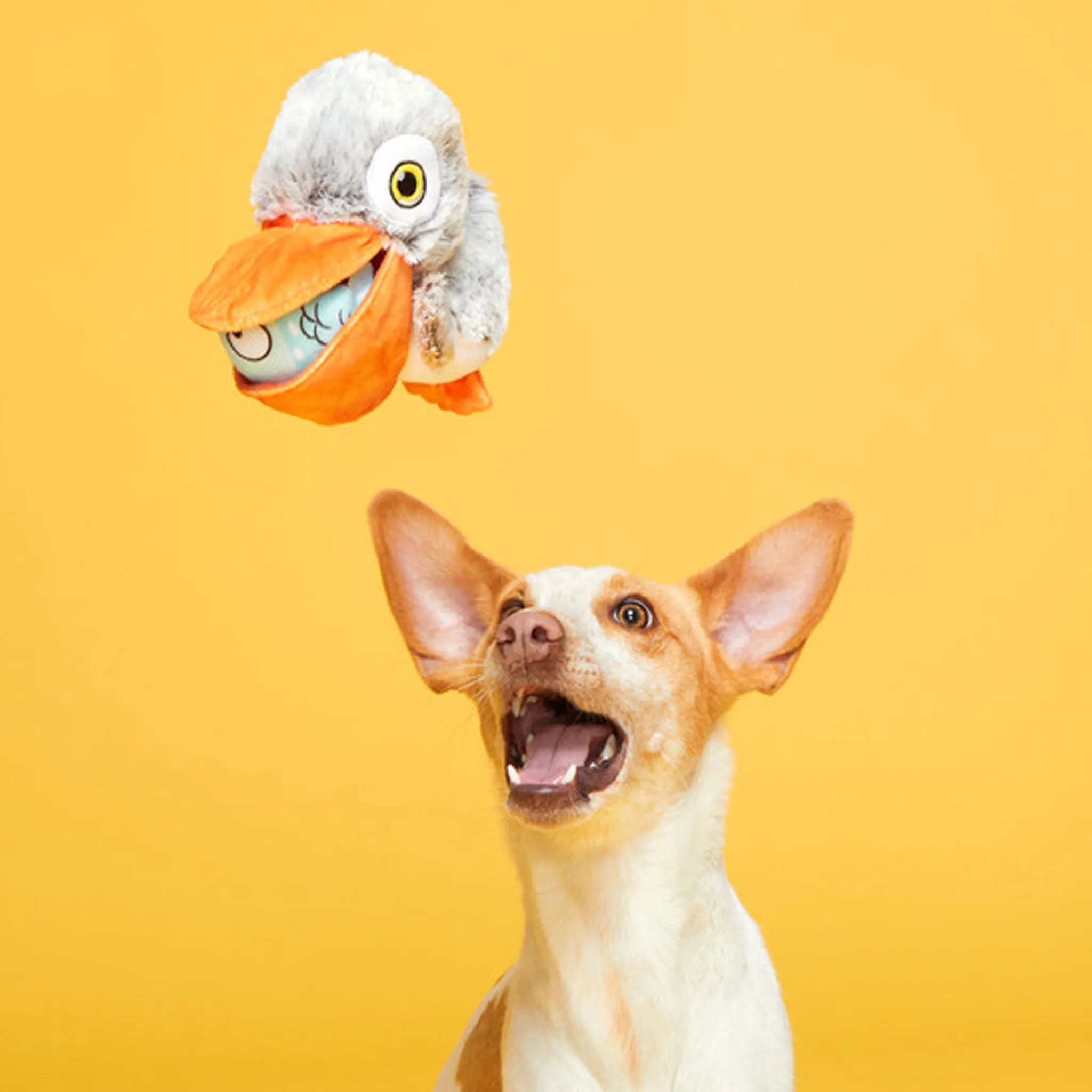 Bark Big Bill Beak-a-Boo Dog Toy