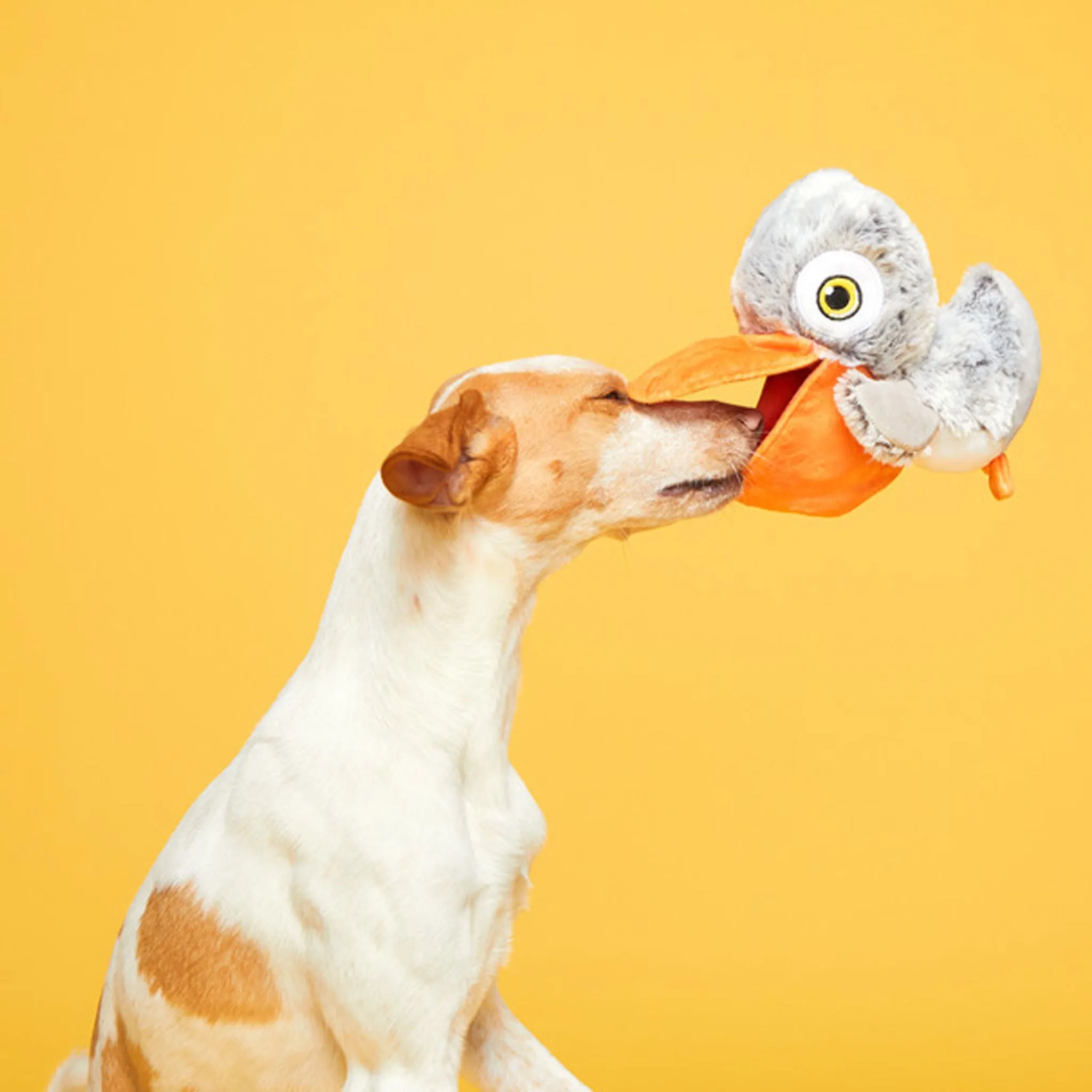 Bark Big Bill Beak-a-Boo Dog Toy
