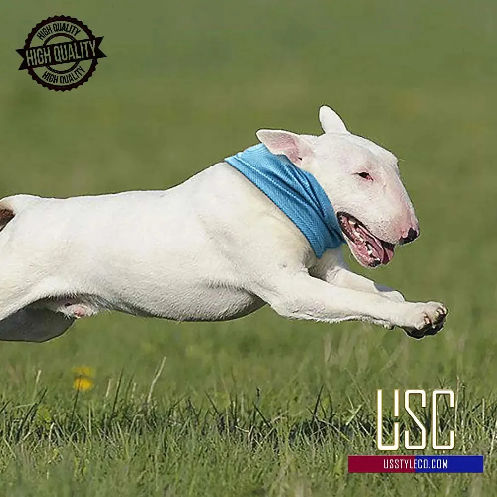 Beat the Heat! Instant Cooling Dog Bandana for Summer Adventures