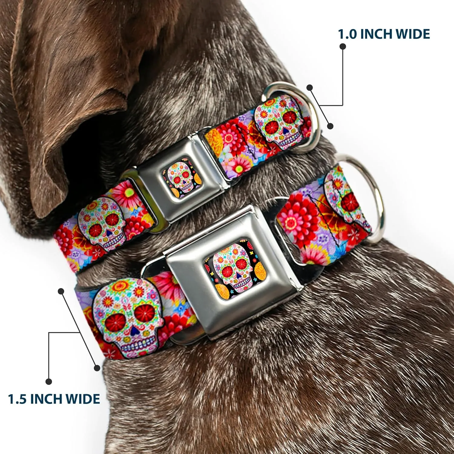 Buckle-Down Dog Collar Seatbelt Buckle Sugar Skull Starburst White Multi Color 18 to 32 Inches 1.5 Inch Wide (DC-WTY008-WL)