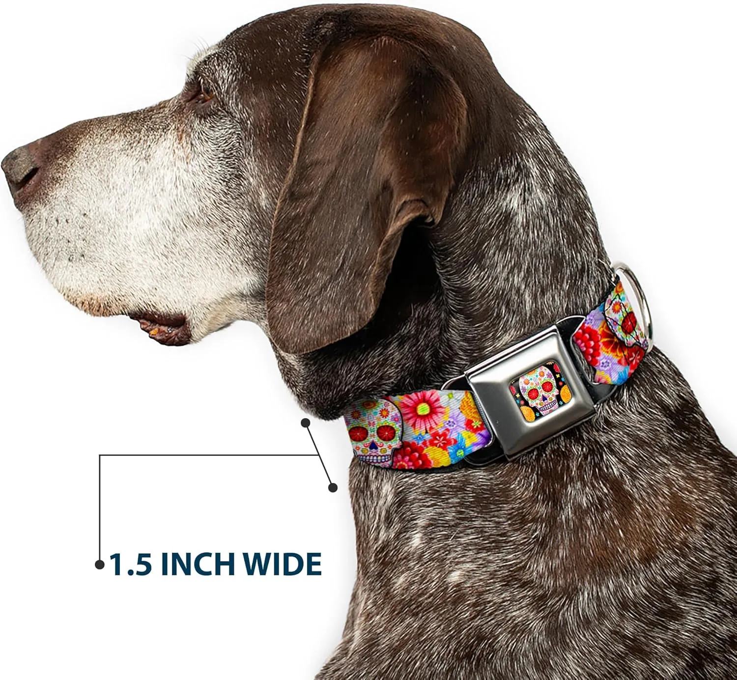 Buckle-Down Dog Collar Seatbelt Buckle Sugar Skull Starburst White Multi Color 18 to 32 Inches 1.5 Inch Wide (DC-WTY008-WL)
