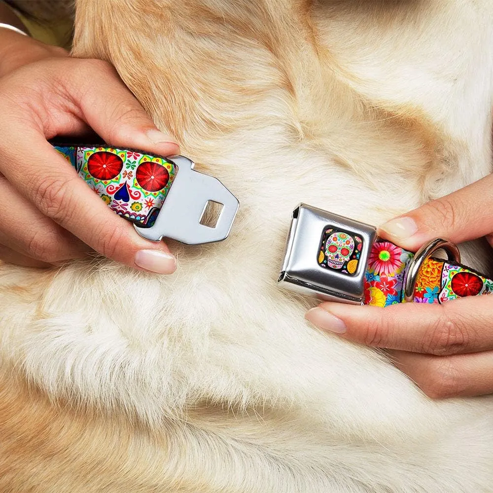 Buckle-Down Dog Collar Seatbelt Buckle Sugar Skull Starburst White Multi Color 18 to 32 Inches 1.5 Inch Wide (DC-WTY008-WL)