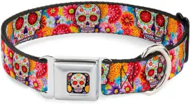 Buckle-Down Dog Collar Seatbelt Buckle Sugar Skull Starburst White Multi Color 18 to 32 Inches 1.5 Inch Wide (DC-WTY008-WL)