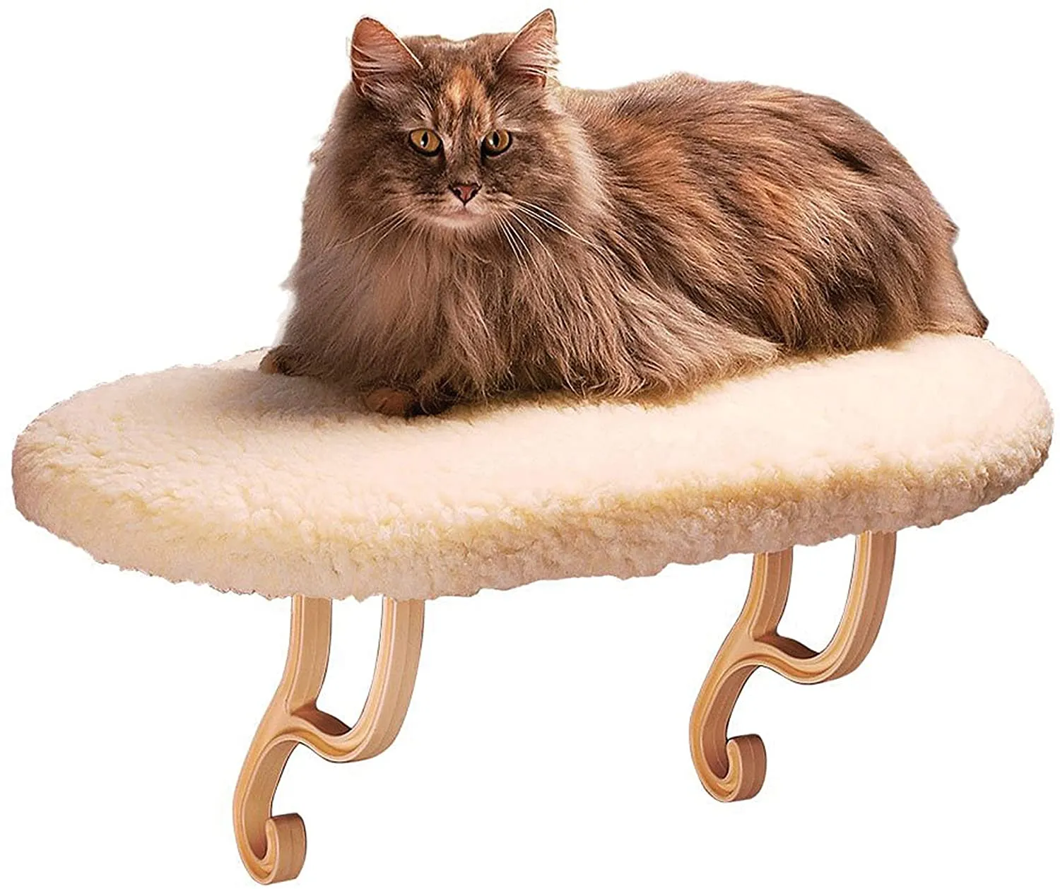 Cat Window Perch - Wall Mounted - K&H Pet Products Kitty Sill