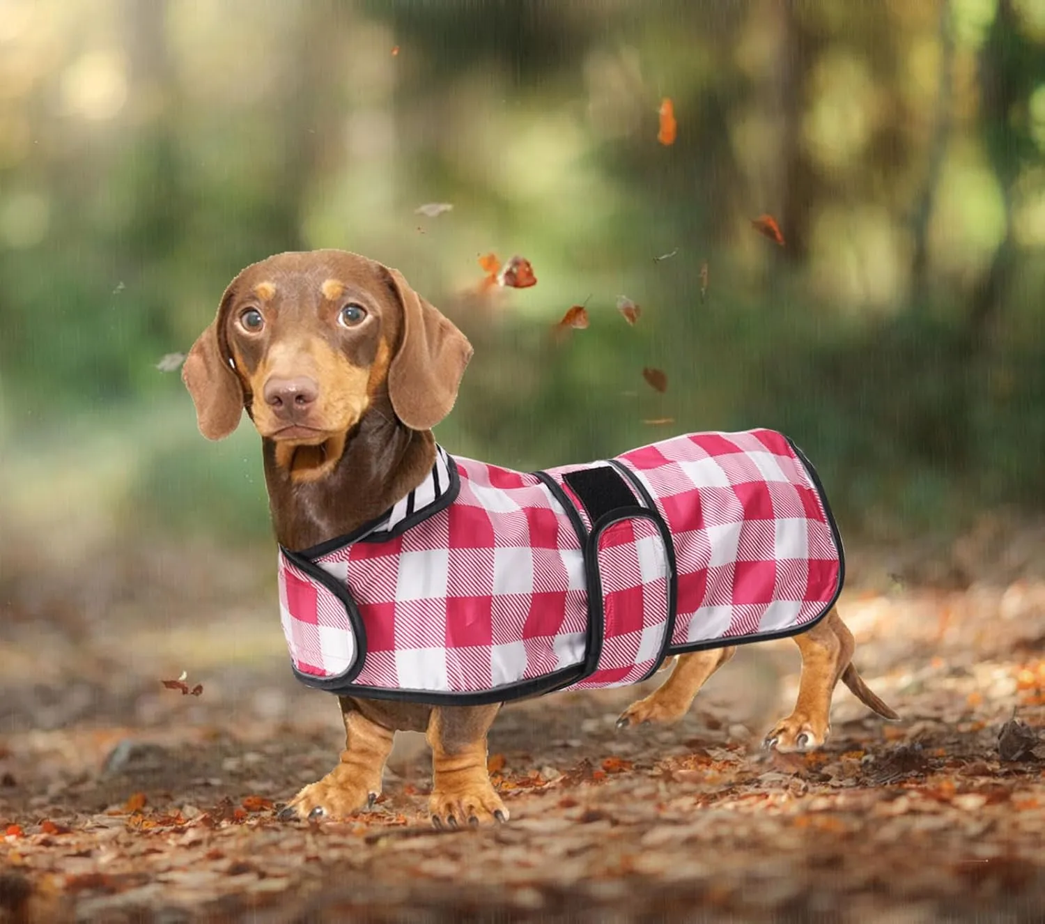 Dachshund Raincoat Corgi Raincoat Dogs Waterproof fit for Dachshunds Weiner Long Back Breeds with Reflective Stripe Great Coverage in Autumn Winter - Pink Plaid - M