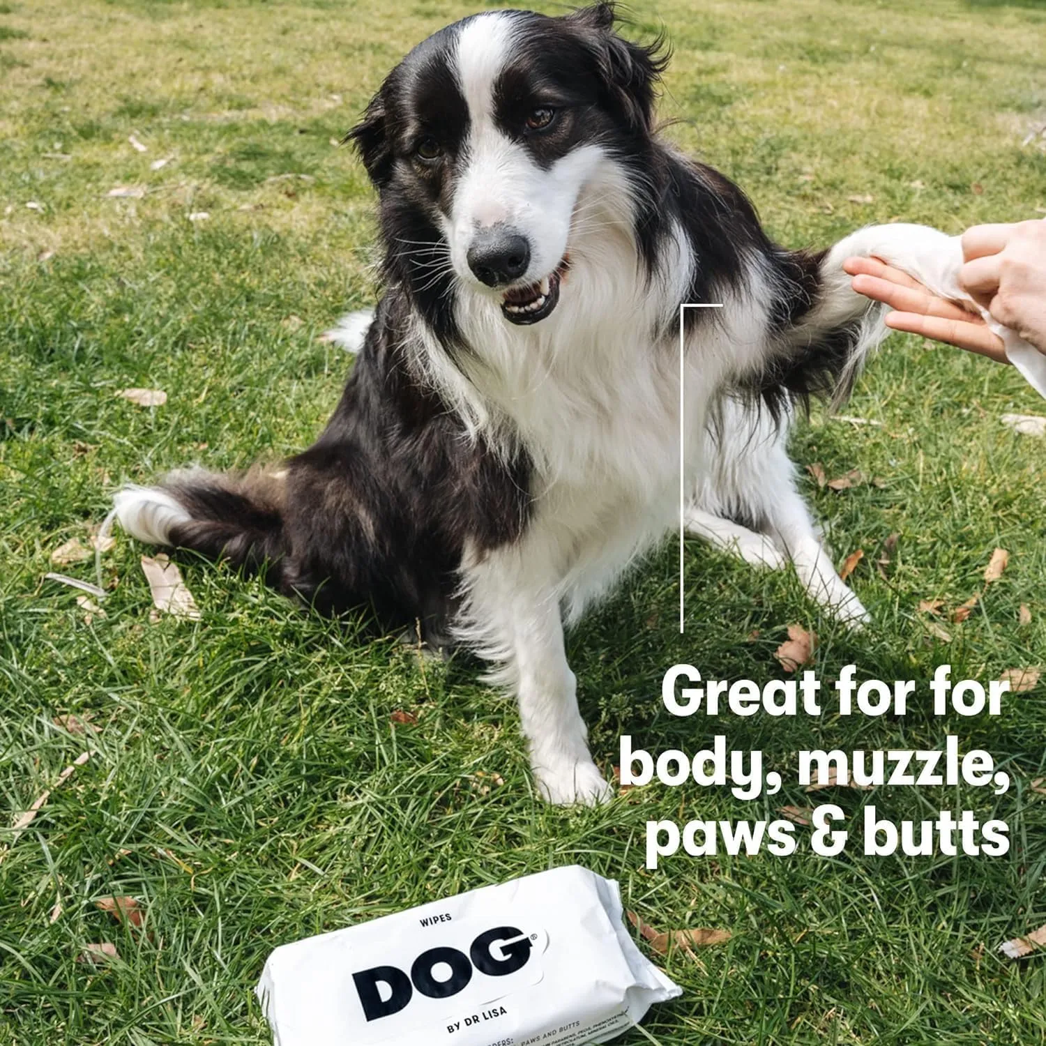 DOG by Dr Lisa - Dog Wipes - Plant-Based, Natural Bathing Wipes for Dogs - Made from 100% Compostable Bamboo - Vet-Created - Vegan, Non-Toxic - 480 Count