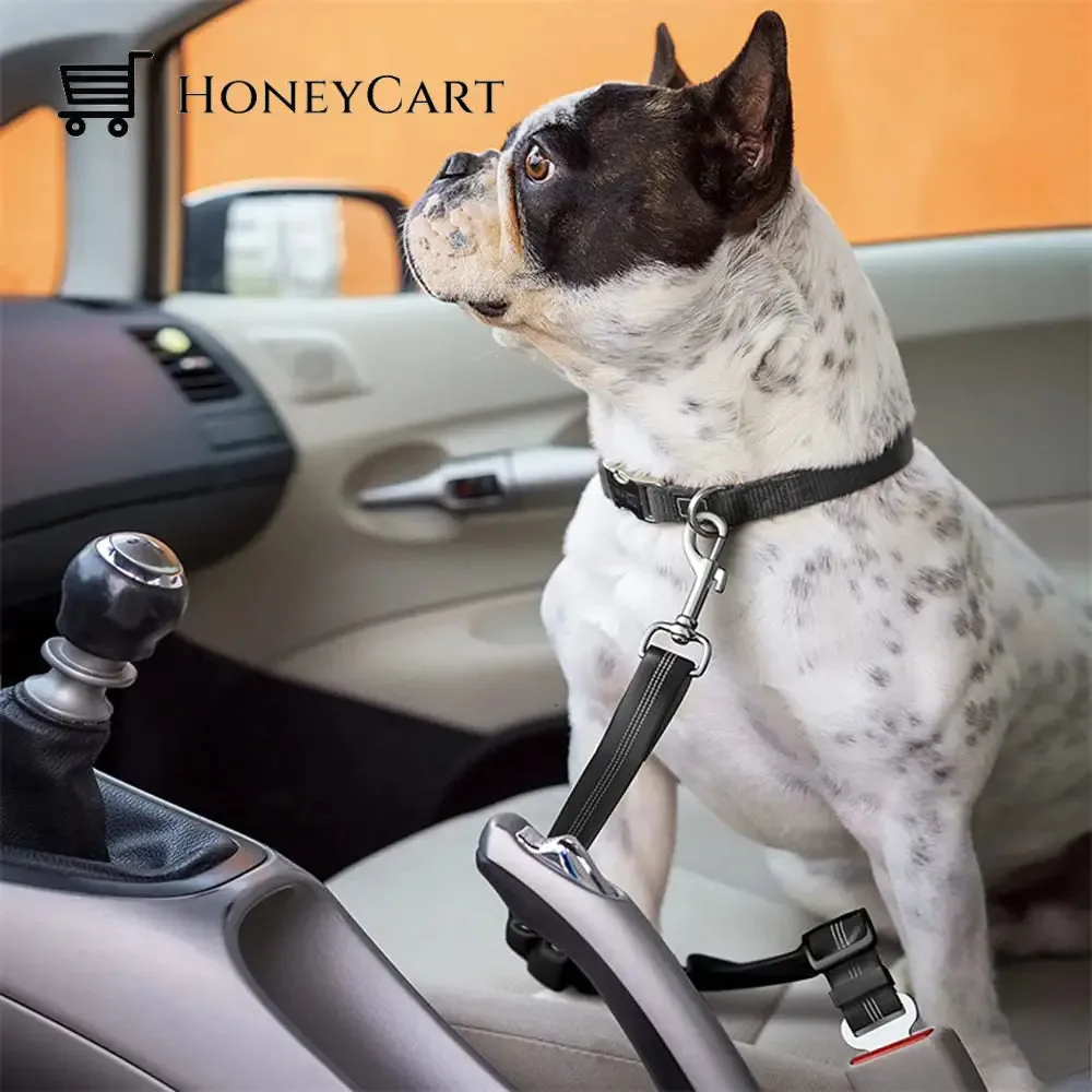 Dog Car Safety Seat Belt