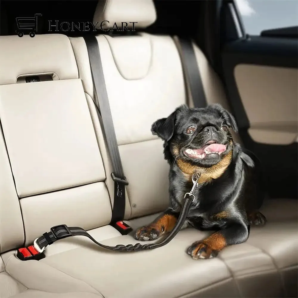 Dog Car Safety Seat Belt