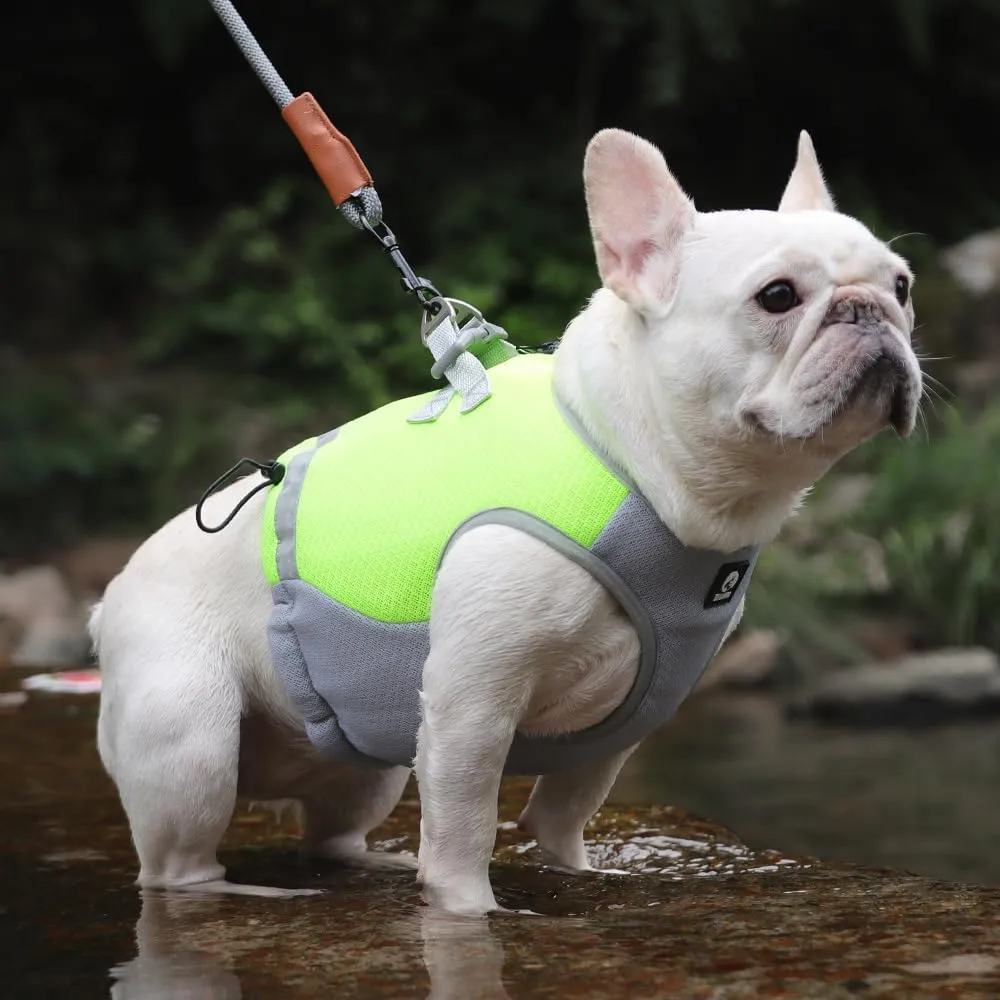 Dog Cooling Vest, Lightweight Jacket for Small Medium Dogs with Evaporative Cool Technology, Reflective Design Breathable Mesh for Training Camping, Green, XL