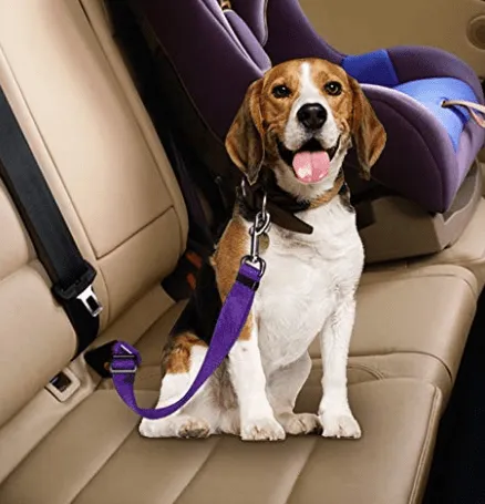Dog Harness Clip Seat Belt