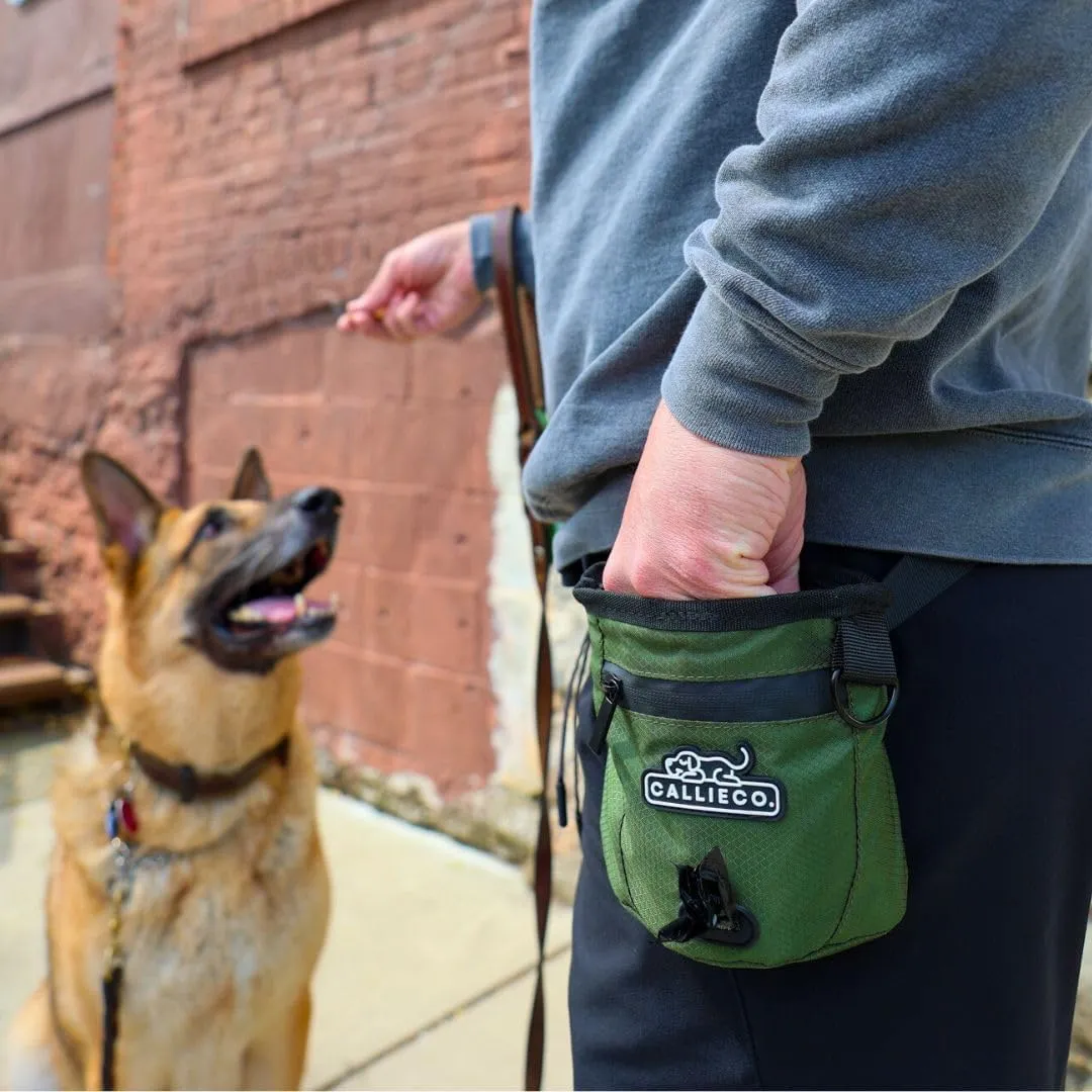 Dog Treat Pouch with Magnetic & Zipper Closure | Small Waist Belt Training Behavior Aid Bag for Dog Walking with Poop Bag Dispenser (Green)