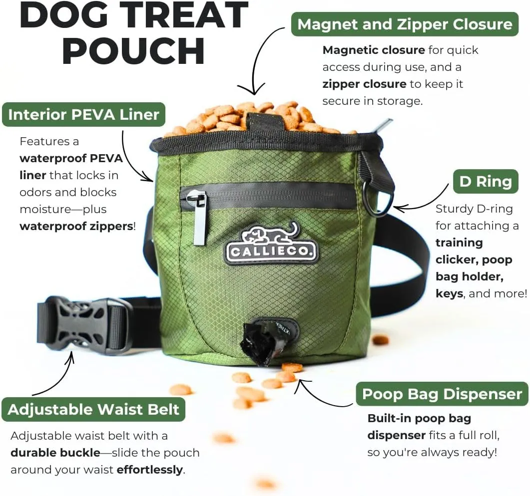 Dog Treat Pouch with Magnetic & Zipper Closure | Small Waist Belt Training Behavior Aid Bag for Dog Walking with Poop Bag Dispenser (Green)