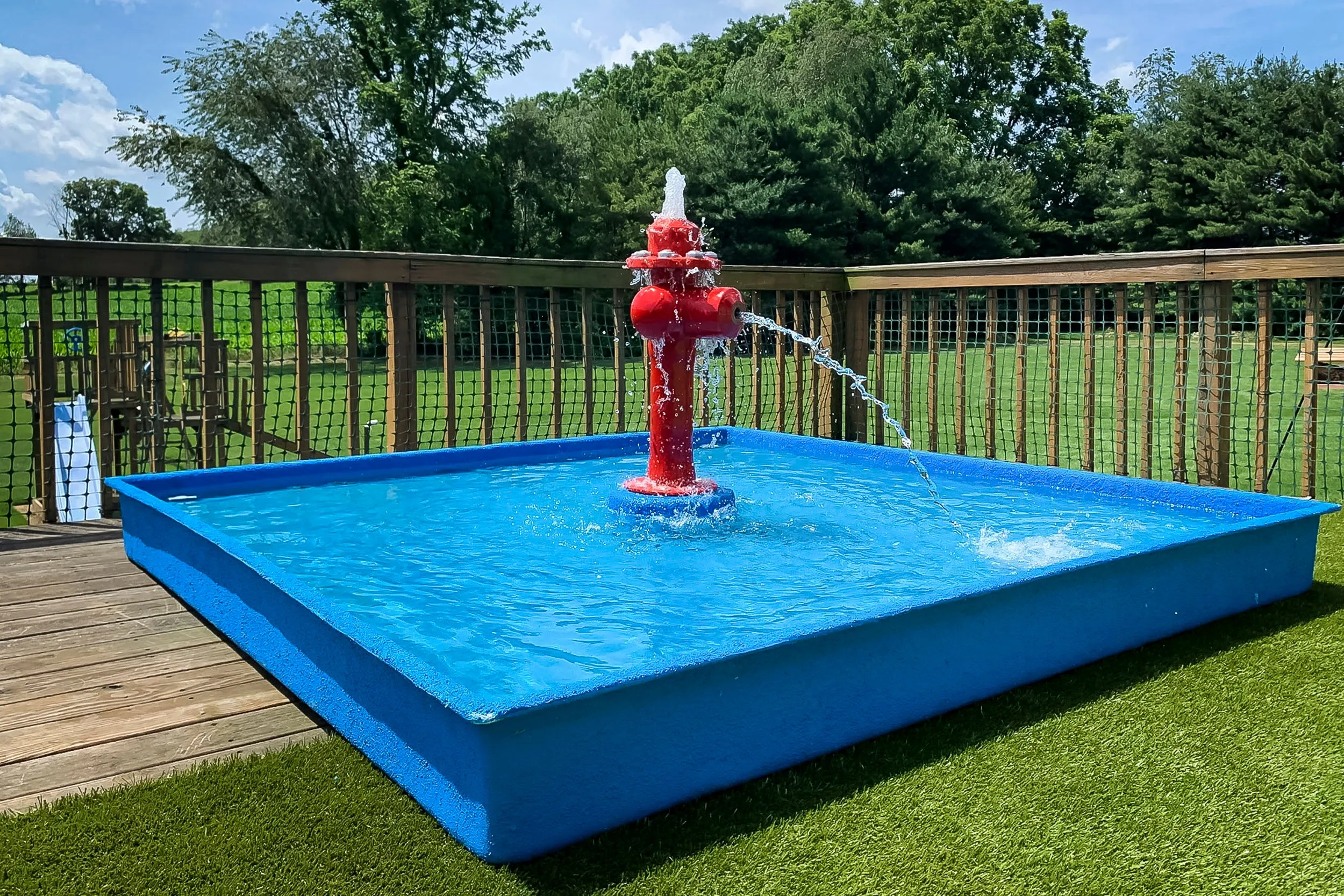 Dog Wading Pool