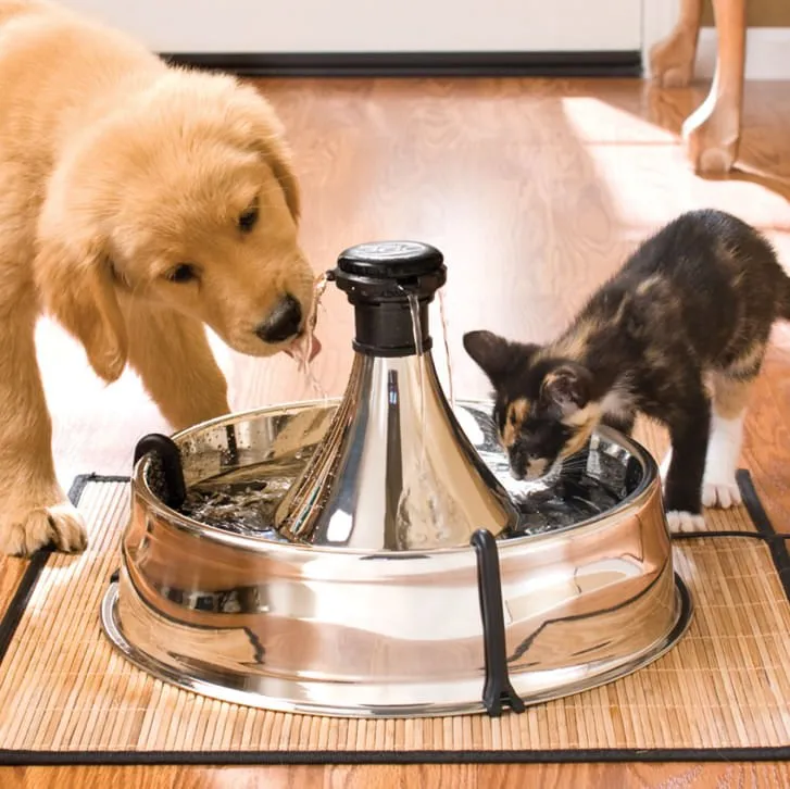 Drinkwell 360 Stainless Pet Fountain (& Replacement Filters)