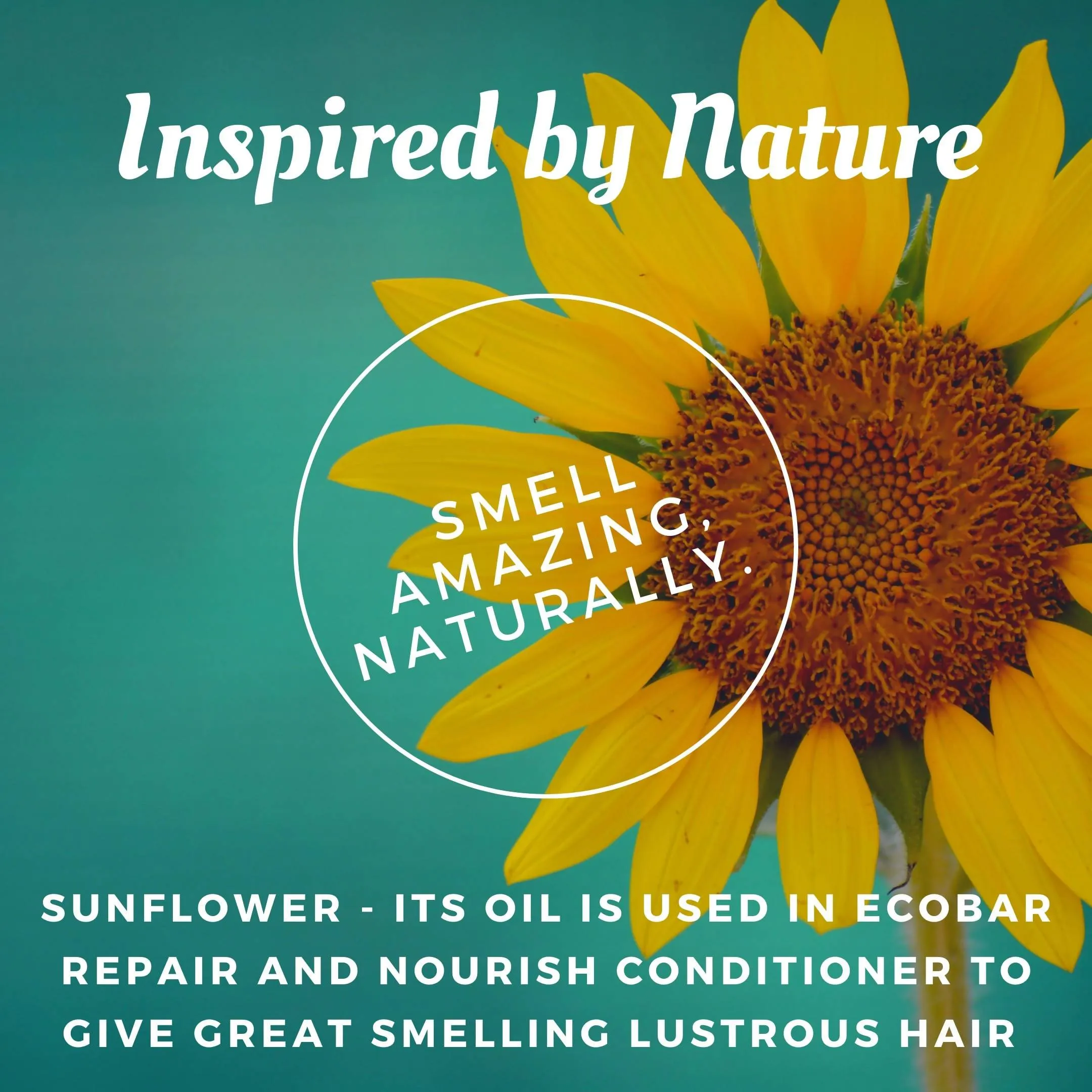 Ecobar Repair and Nourish Conditioner Bar