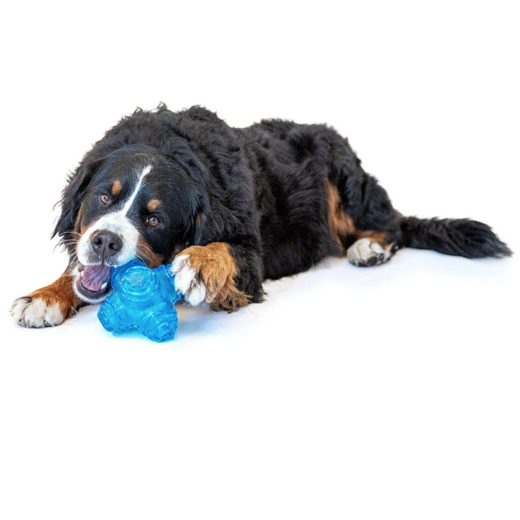 GURU Puzzle Jack Treat Dispenser Dog Toy, Medium