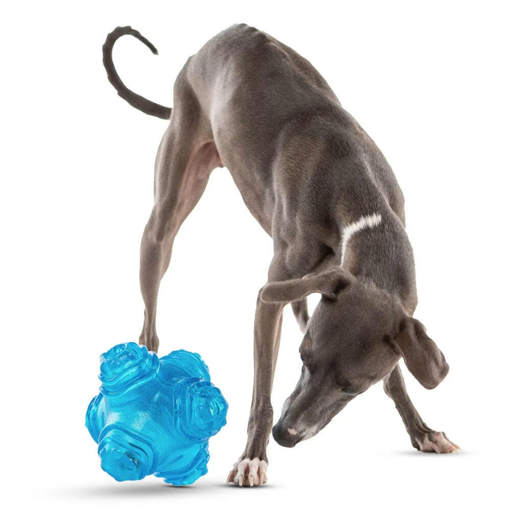 GURU Puzzle Jack Treat Dispenser Dog Toy, Medium