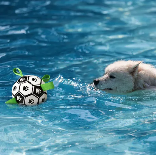 Interactive toys for dogs