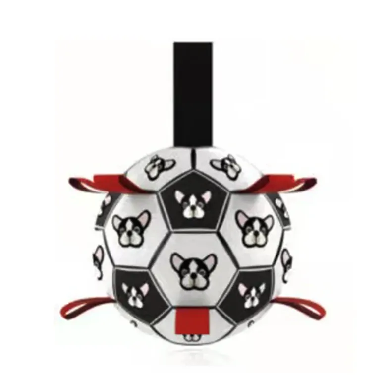 Interactive toys for dogs