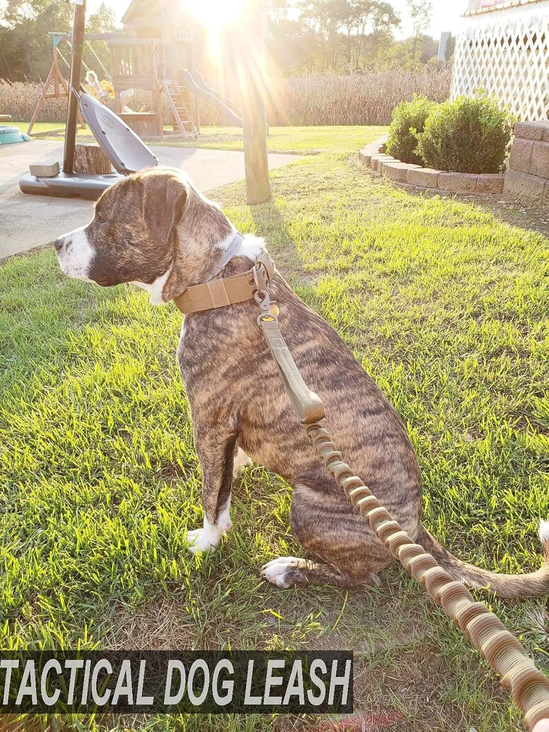 JiePai Tactical Dog Training Bungee Leash Military Dog Leash Quick Release Elastic Leads Rope with 2 Control Handle, 6ft for Medium Large Dogs, Camouflage Pattern