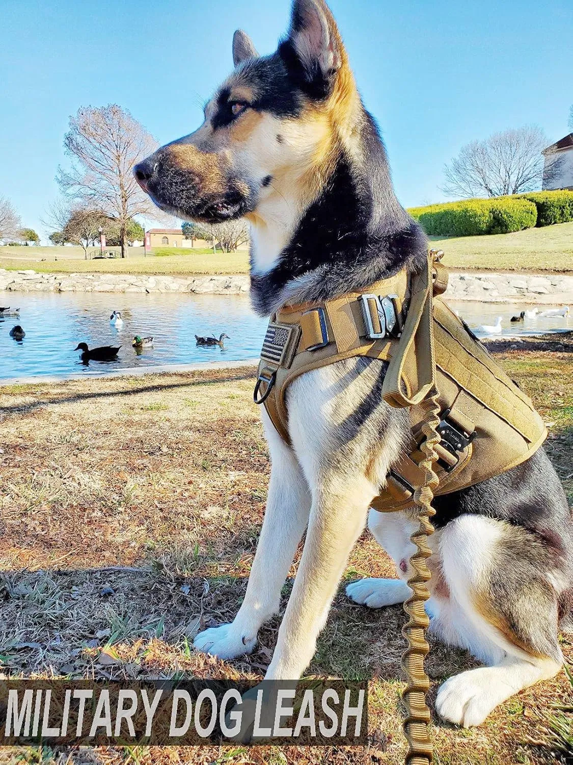 JiePai Tactical Dog Training Bungee Leash Military Dog Leash Quick Release Elastic Leads Rope with 2 Control Handle, 6ft for Medium Large Dogs, Camouflage Pattern