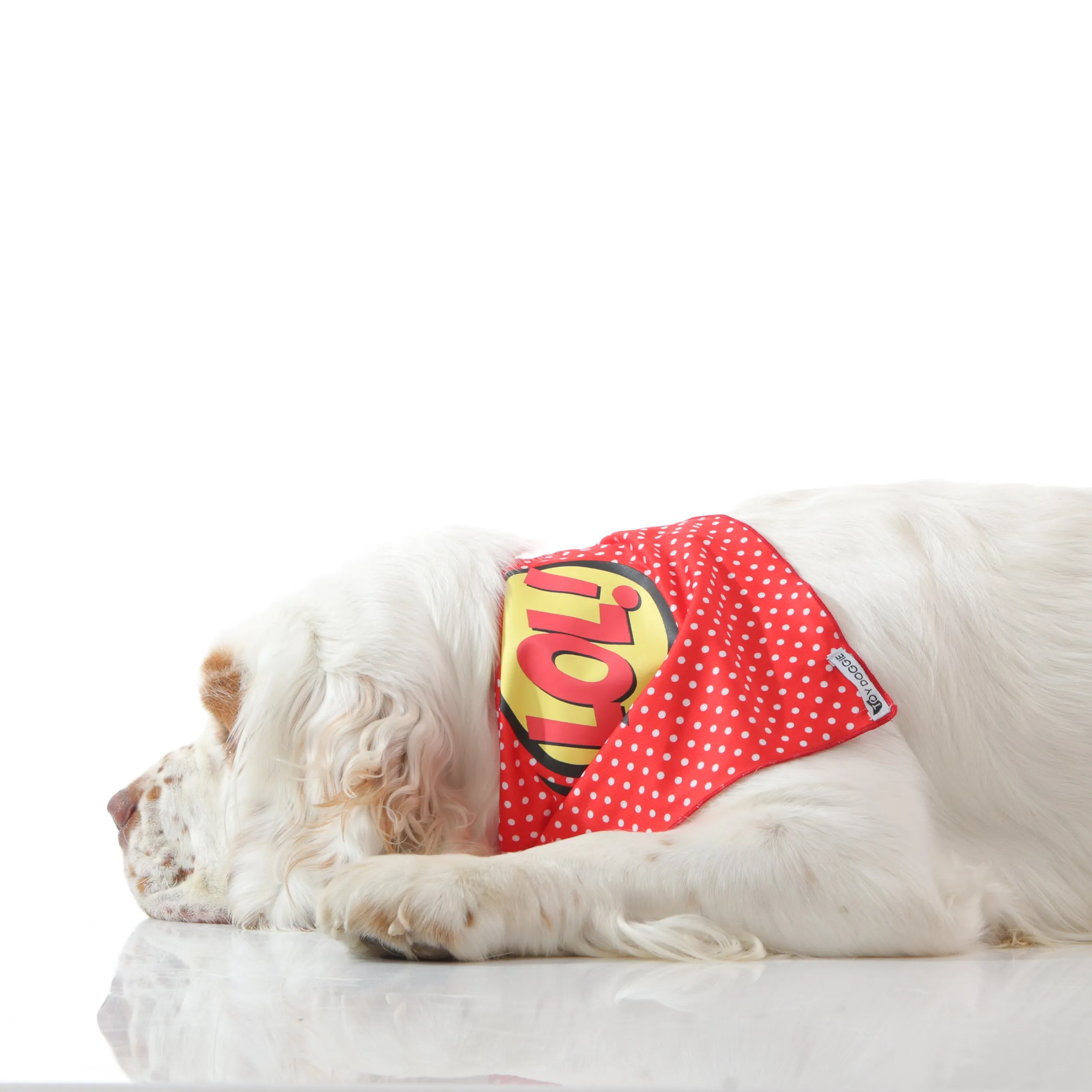 LOL! Cooling Down Dog Bandana