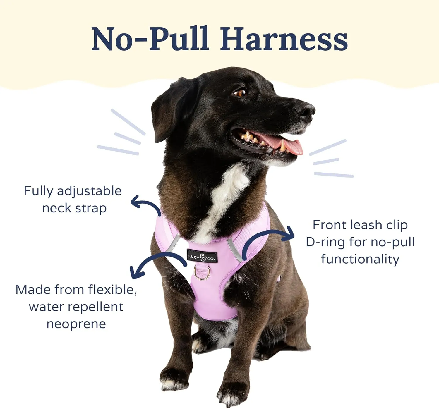 Lucy & Co. The Bouquet No-Pull Dog Harness  Size Medium  Vest to Stop Pulling & Walk Easy  Comfortable Leash Training Product w/Adjustable Chest & Neck Straps