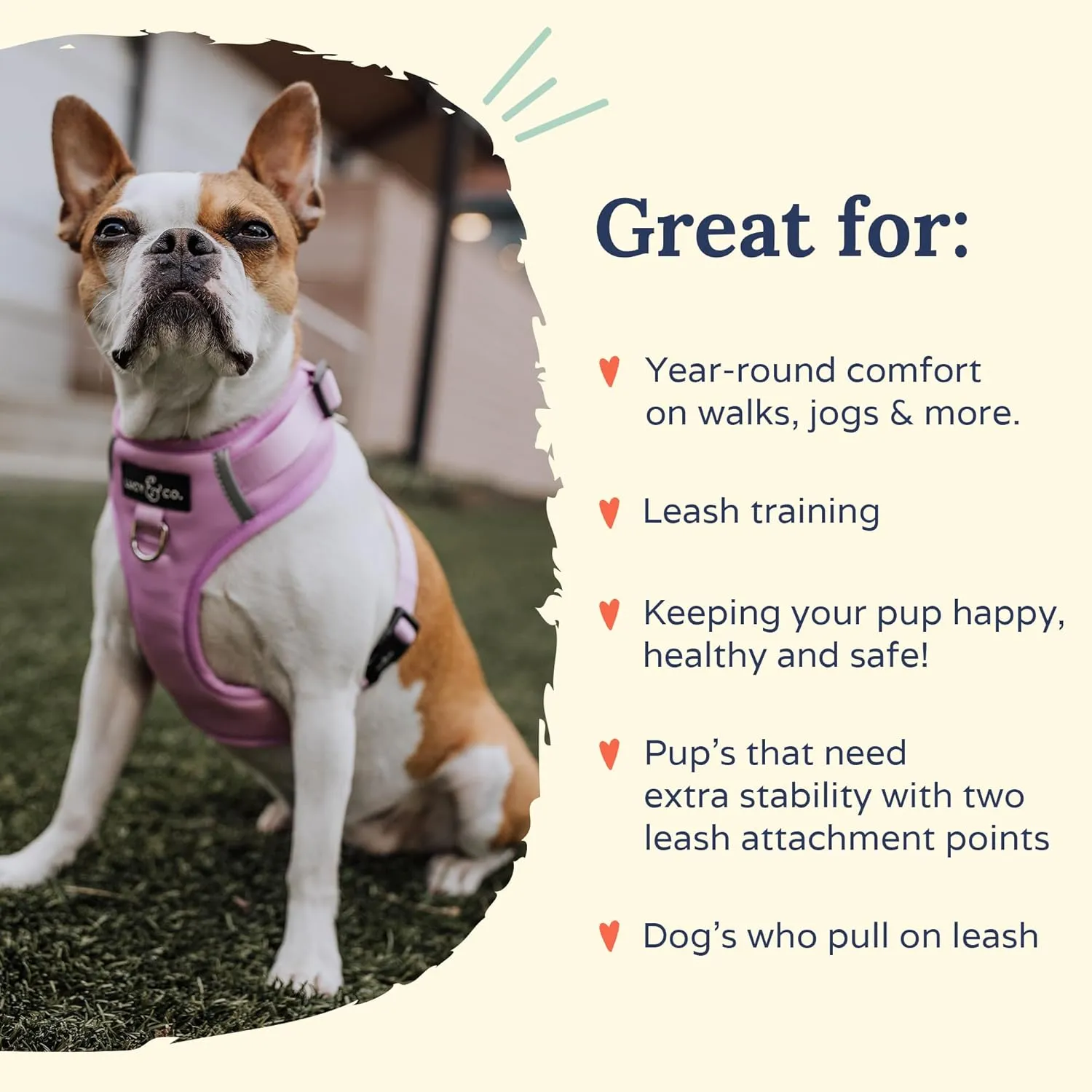 Lucy & Co. The Bouquet No-Pull Dog Harness  Size Medium  Vest to Stop Pulling & Walk Easy  Comfortable Leash Training Product w/Adjustable Chest & Neck Straps