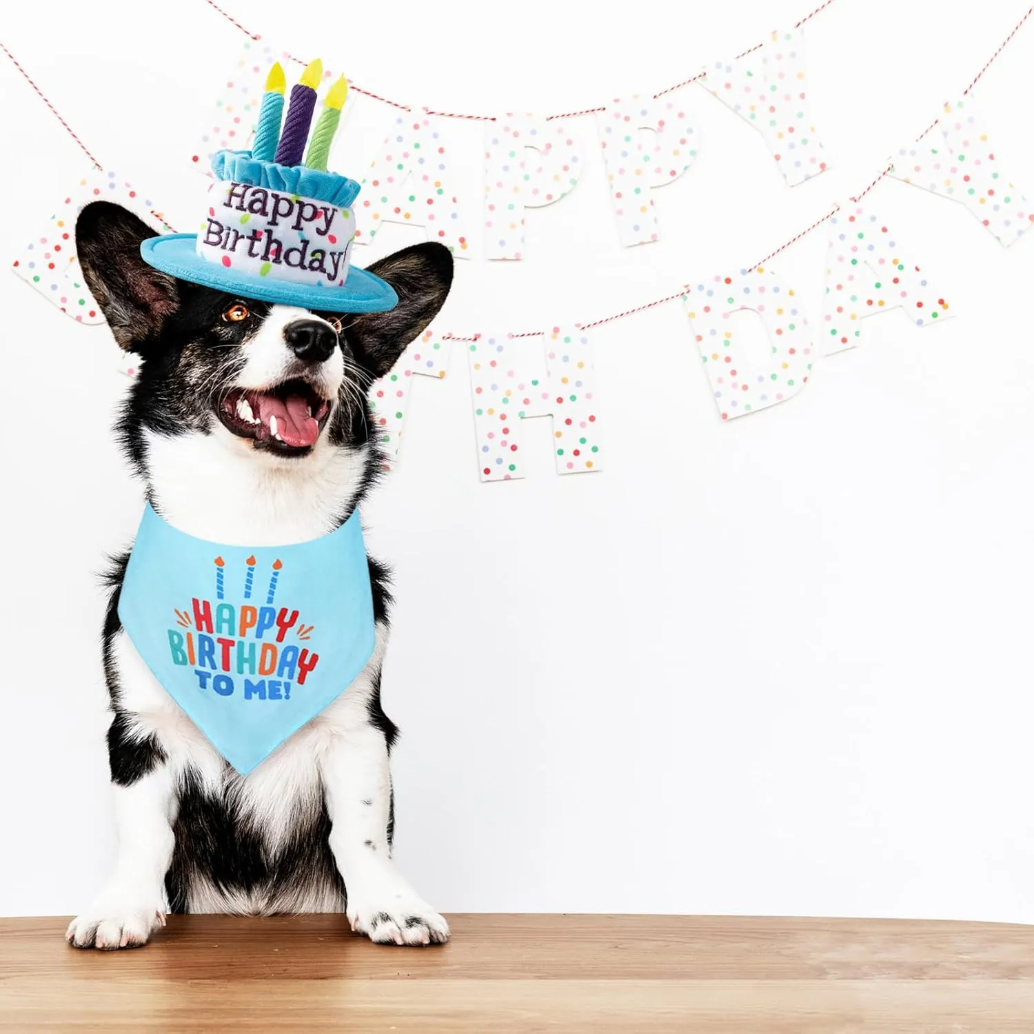 Medium Dog Birthday Cake Hat & Bandana Scarfs Set Blue, Handmade Dog Happy Birthday Hat with Colorful Candles, Medium Dog Birthday Party Supplies Decorations