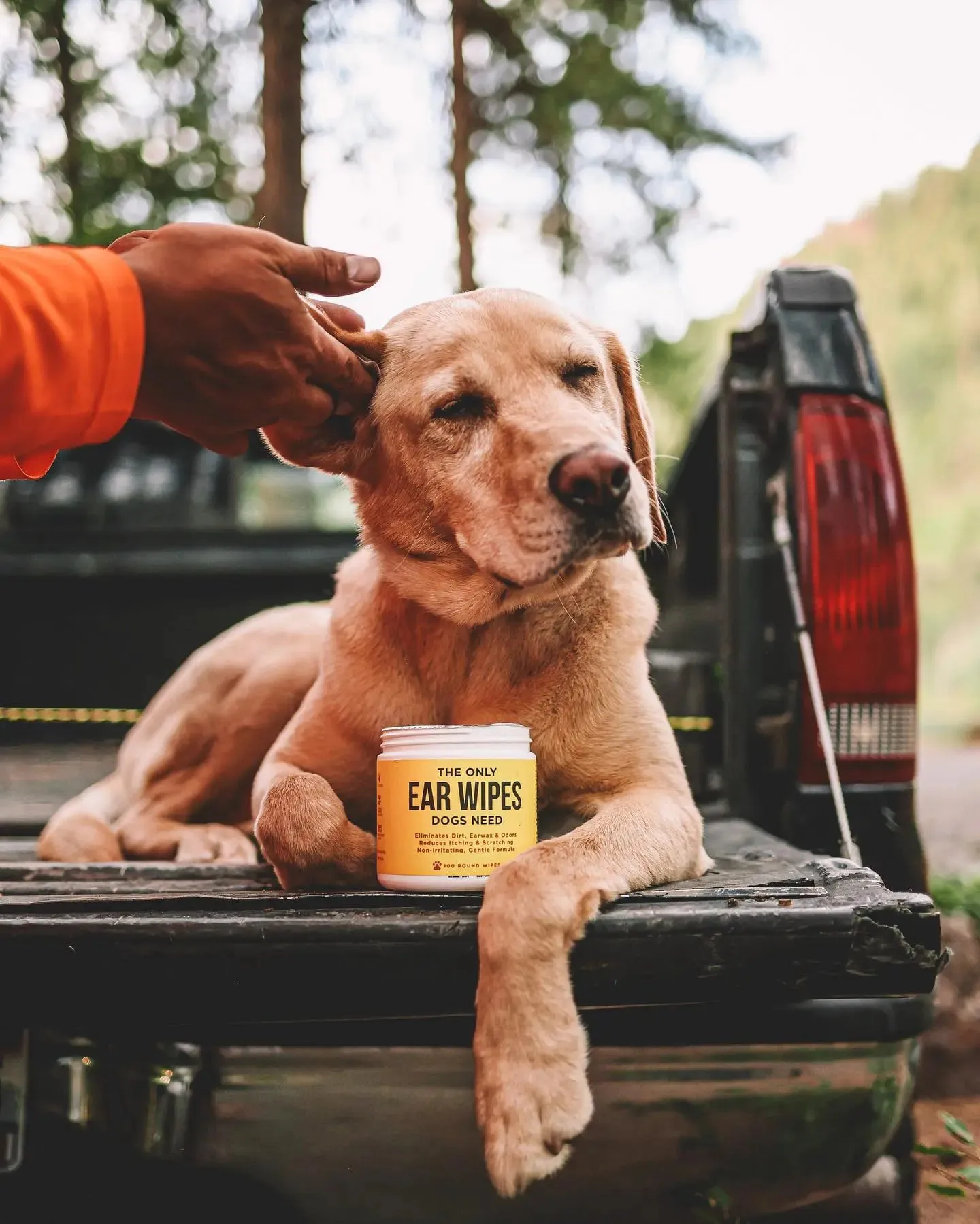 Natural Rapport The Only Ear Wipes - Dog Ear Wipes