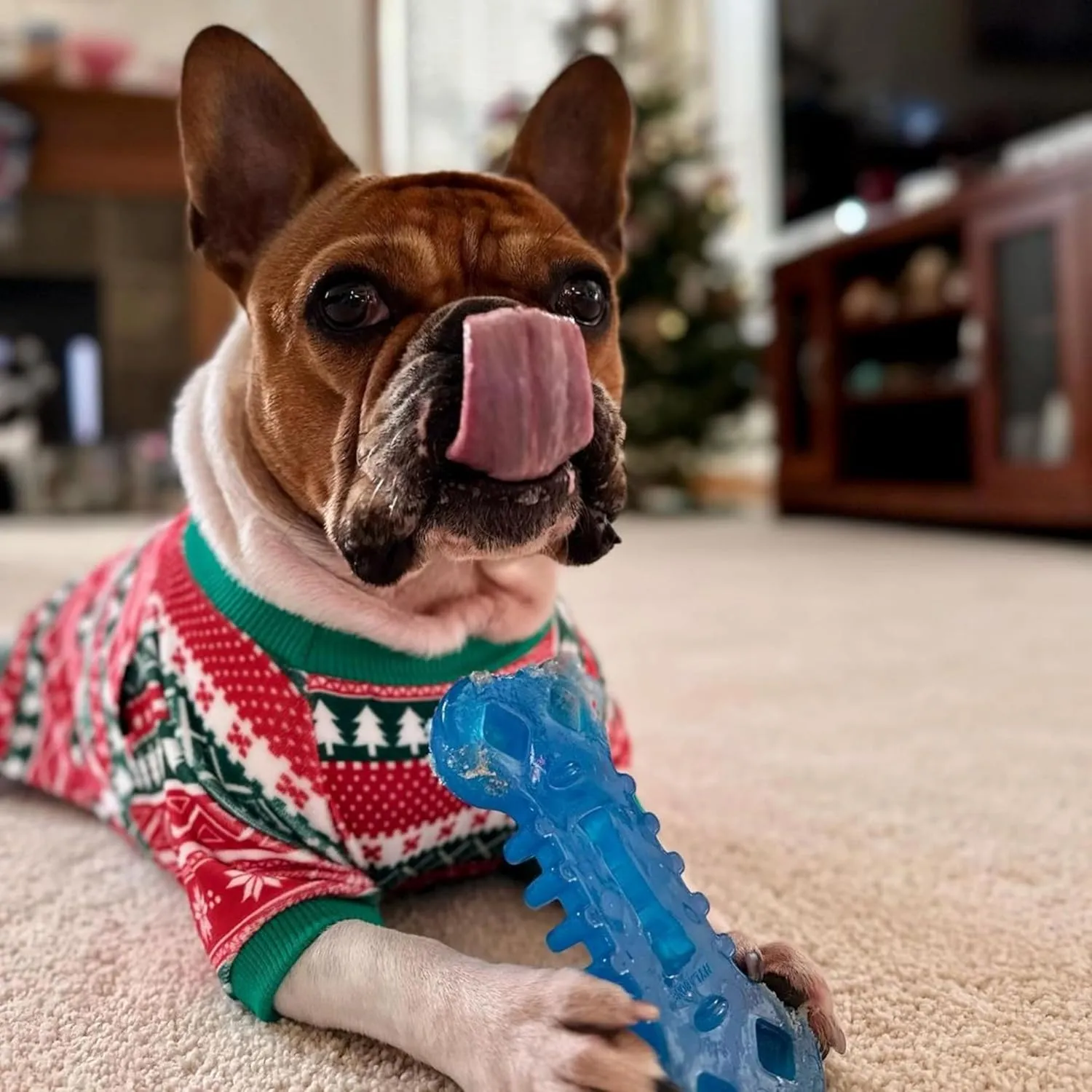 Nylabone Flexi Chill & Chew Toy for Dogs with Treat Pockets, Dog Toys for Moderate Chewers, Chicken Flavor, Medium - Up to 35 lbs, 1 Count