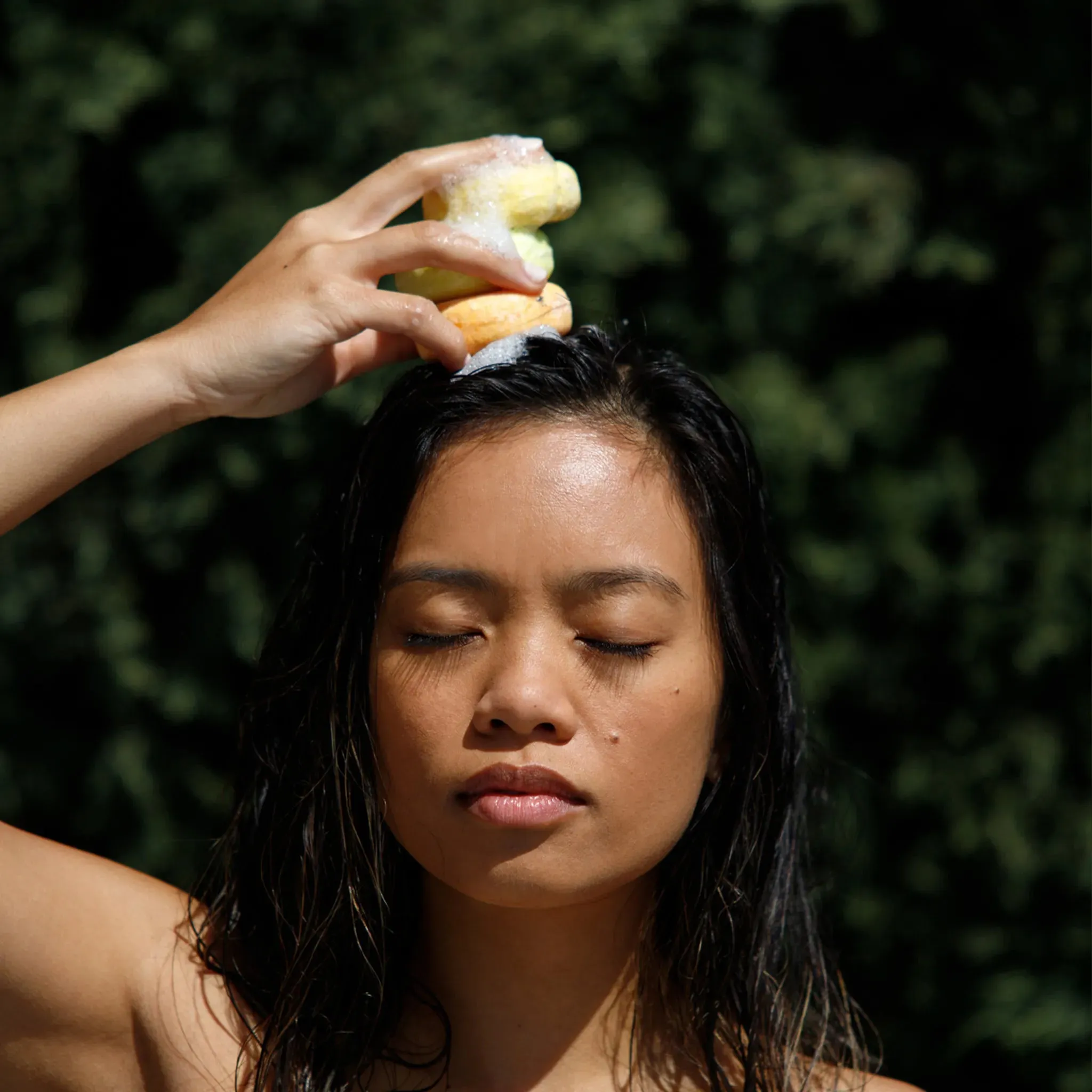 Olive Oil Shampoo Bar
