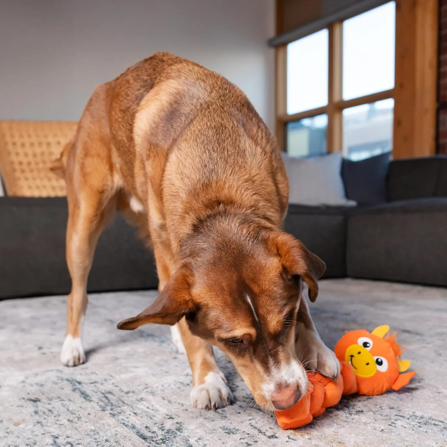 Outward Hound by Nina Ottosson Twistiez Interactive Plush Dog Treat Puzzle, Dragon, Orange