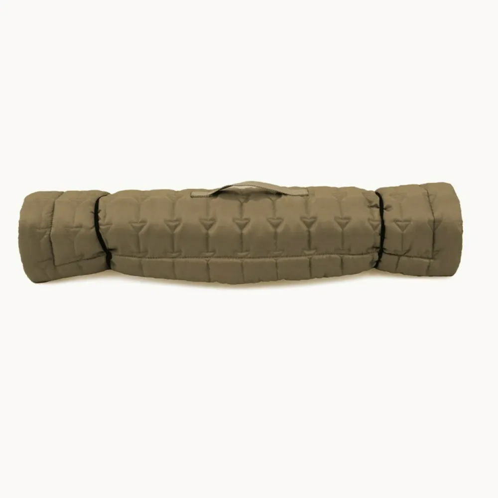 Pawpourri Travel Mat for Dogs (Brown)