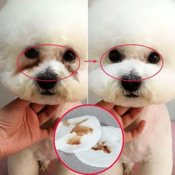 Pet Eye Cleaning Pad