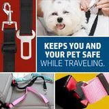 Pet Seat Belt