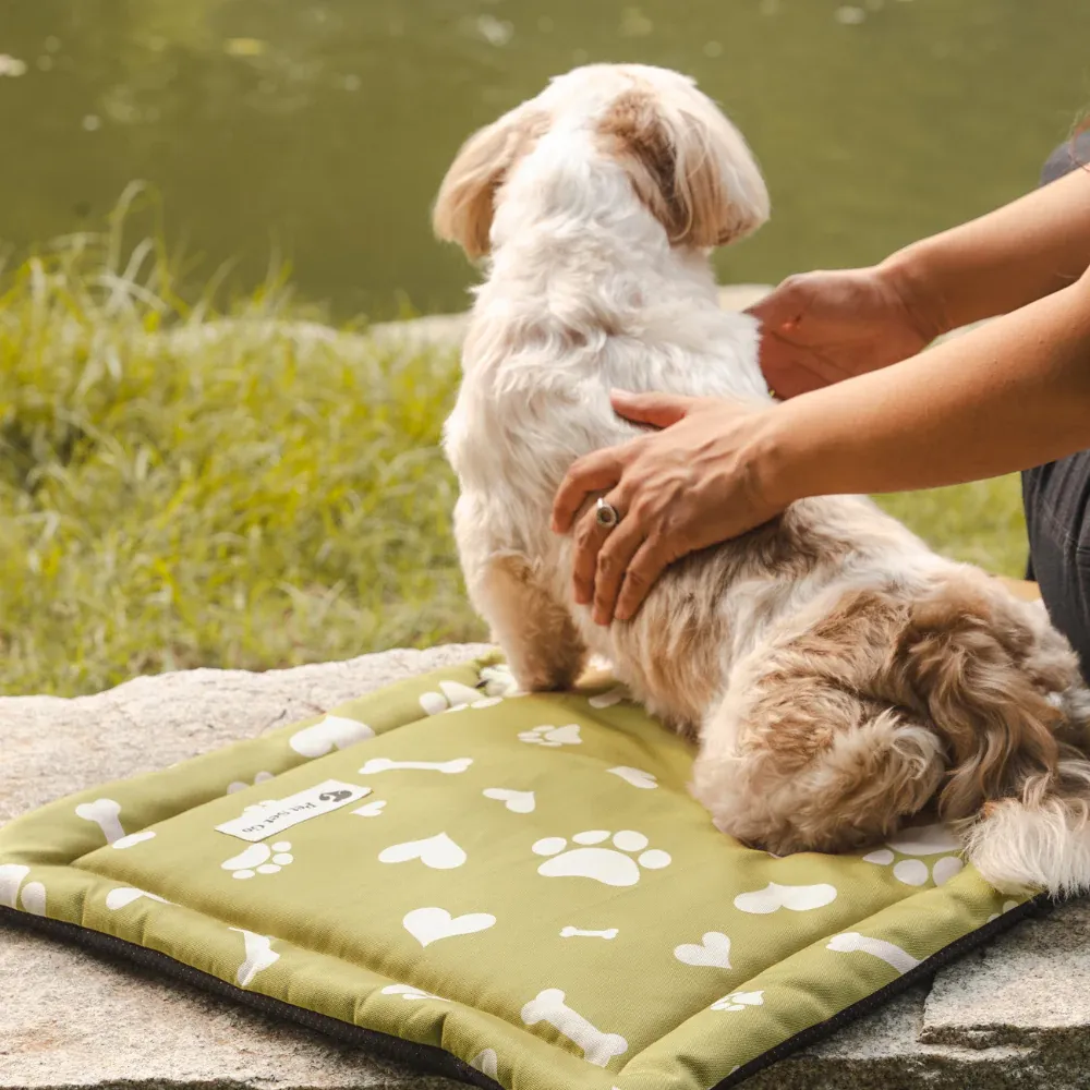 Pet Set Go Paw and Bones Heaven Mat for Dogs and Cats (Green)