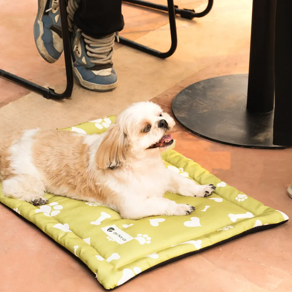 Pet Set Go Paw and Bones Heaven Mat for Dogs and Cats (Green)