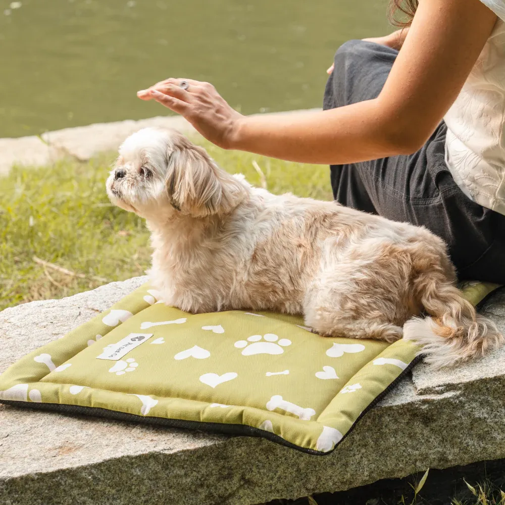 Pet Set Go Paw and Bones Heaven Mat for Dogs and Cats (Green)