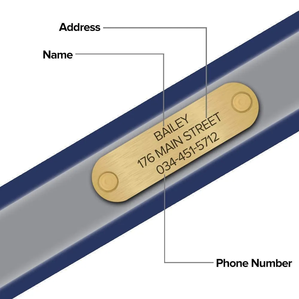 Regal Dog Products Small Blue Reflective Dog Collar with Custom Engraved Name Plate and Heavy Duty Center Ring | Waterproof Biothane Personalized Dog Collars - Other Sizes for Medium & Large Dogs