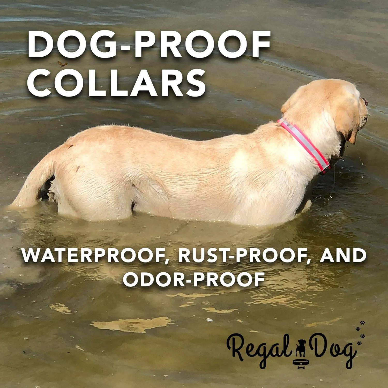 Regal Dog Products Small Blue Reflective Dog Collar with Custom Engraved Name Plate and Heavy Duty Center Ring | Waterproof Biothane Personalized Dog Collars - Other Sizes for Medium & Large Dogs