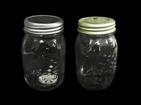 Relief glass jar, 2 assort, d3.1 x h5.43 in, 17.92 fl oz