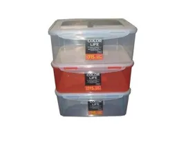 Sealed container, 3 assort, 8.85 x 11.61 x 4.9s in