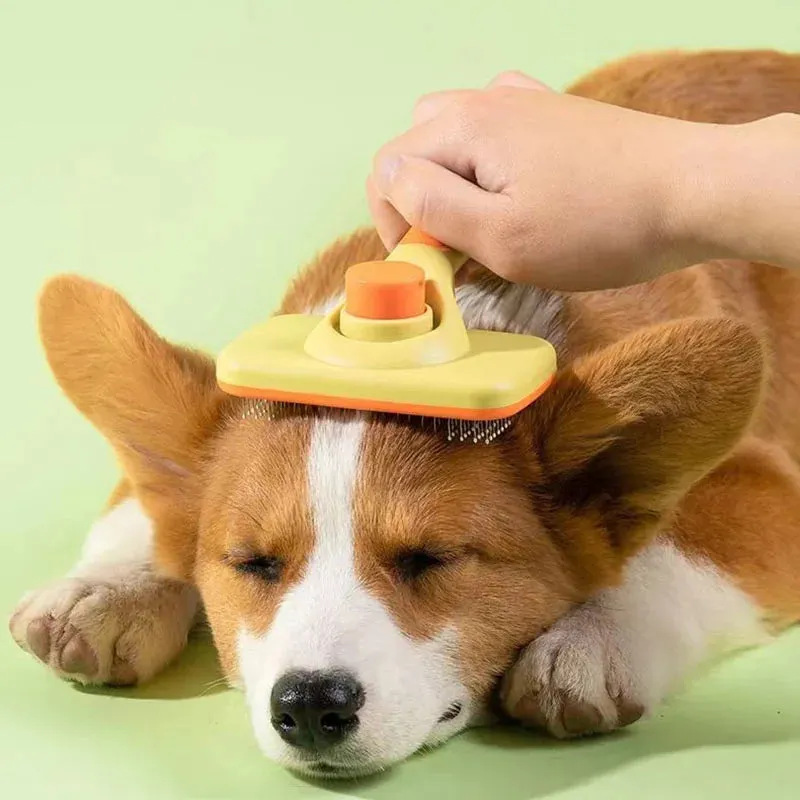 Self-Cleaning Pet Grooming Brush for Dogs and Cats