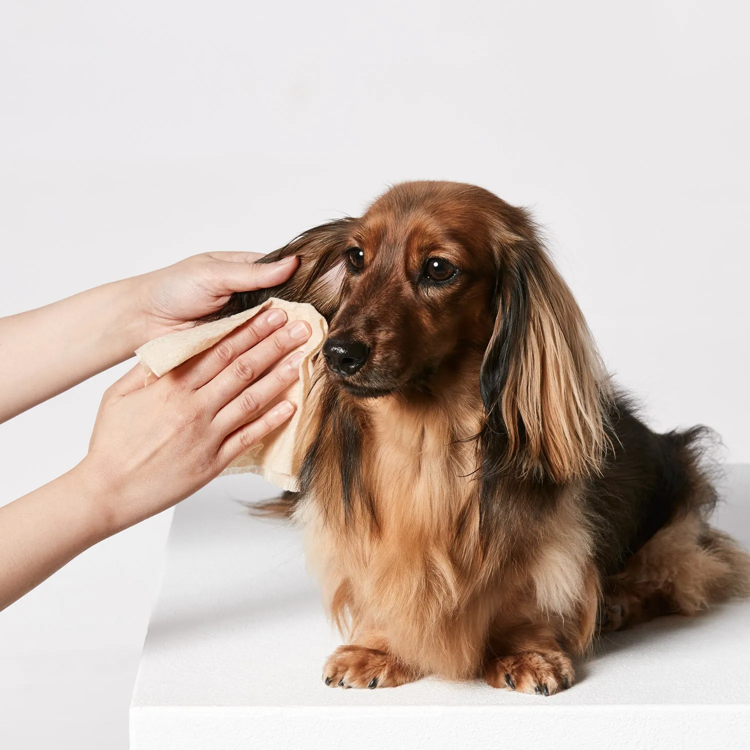 Snooza Skin & Coat Dog Wipes