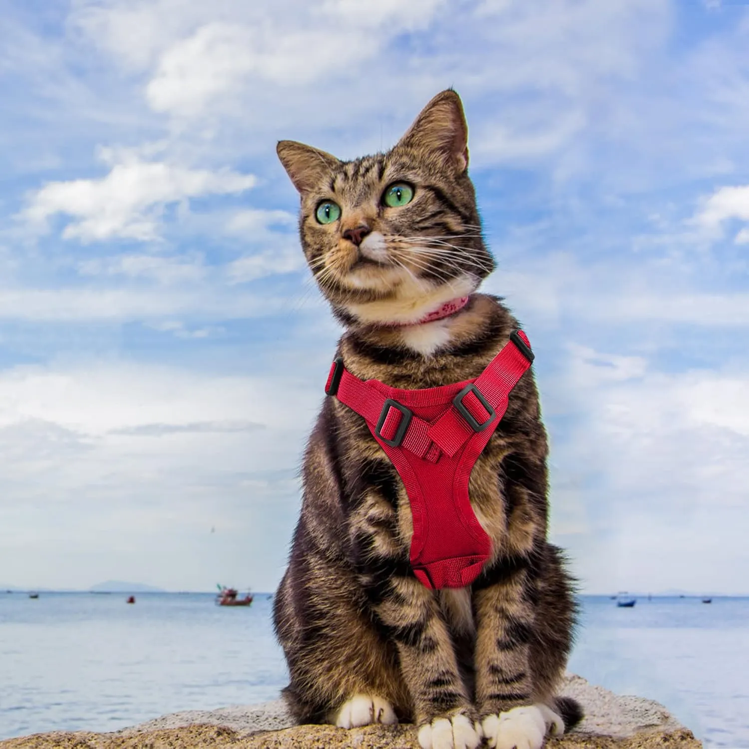 Tactical Cat Harness for Walking Escape Proof, Adjustable Pet Vest Harness, Soft Mesh with Control Handle for Large Cat Small Dog, Gift with Patch
