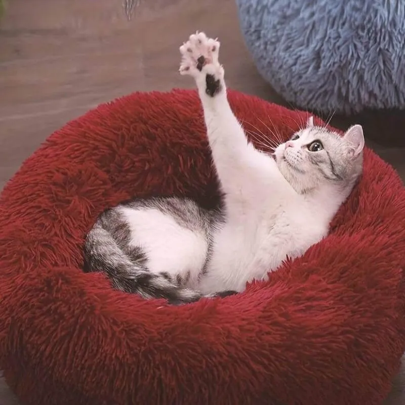 The Original Calming Cloud 9 Cat Bed